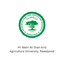 Pir Mehr Ali Shah Arid Agriculture University, Rawalpindi BeeHive Consultants Pvt Ltd Entrepreneurship Startups